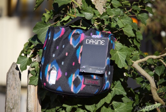 Dakine