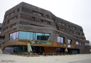 Waldhaus-2