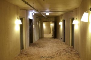 Waldhaus-6