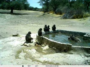 Hollightly-Gross-Okandjou-Namibia-1