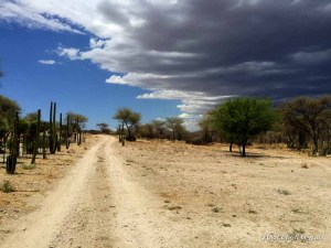 Hollightly-Gross-Okandjou-Namibia-12