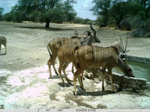 Hollightly-Gross-Okandjou-Namibia-14