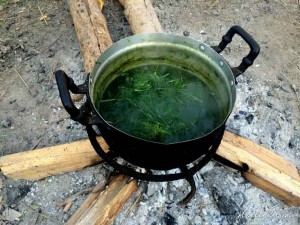 Zen Namkhan Laos - Algen ... wird lecker!
