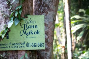 Welcome to Bann Makok