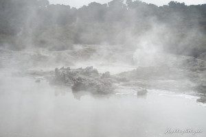 Hells Gate Neuseeland Nebel