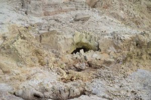 Hells Gate Neuseeland Steine