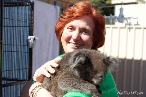 Koala Hospital