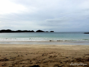 Strand in Neuseeland