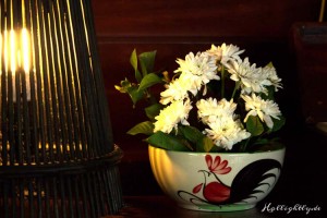 Blumen im Zeavola