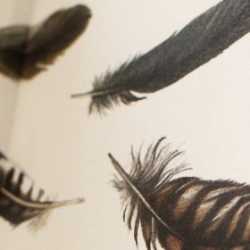 Federnlesen Buch